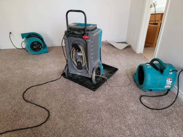 Best Fire Damage Restoration  in Kingsburg, CA