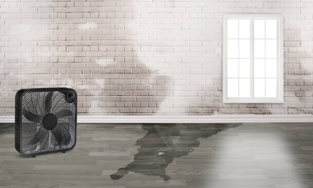 Best Water damage restoration near me  in Kingsburg, CA