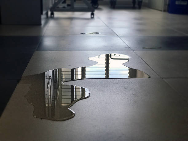 Best Water damage repair service  in Kingsburg, CA