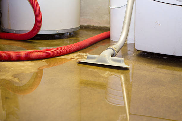 Best Flood damage cleanup  in Kingsburg, CA