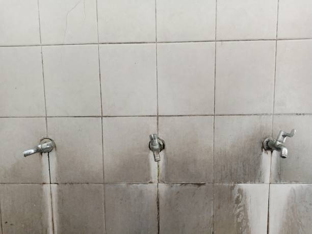 Best 24-hour water damage restoration  in Kingsburg, CA