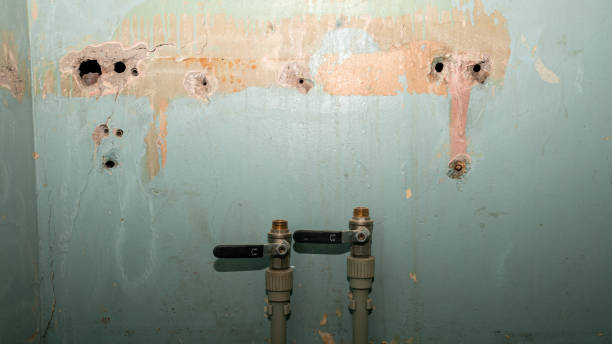 Best Flooded house restoration  in Kingsburg, CA