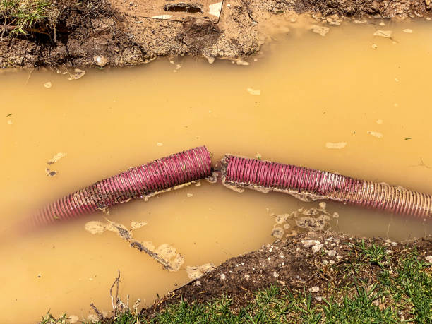 Best Residential water damage restoration  in Kingsburg, CA
